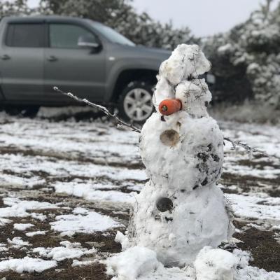 Прикрепленное изображение: 133773318_3180695218823866_4814374720649775717_o.jpg